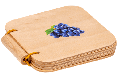 My First Book: Fruit